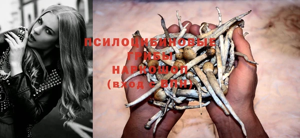 ALPHA PVP Алексин
